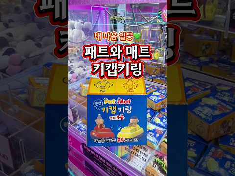 패트와 매트 키캡키링을 인형뽑기로 뽑았다! #인형뽑기 #패트와매트 #키캡키링