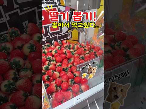 뽑기방에 딸기가 떳다! 싱싱한 딸기 뽑아보실분? #인형뽑기 #clawmachine
