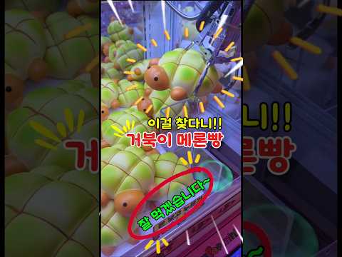 거북이 메론빵이 뽑기방에?! 얼른 뽑아서 먹어보겠습니다! #인형뽑기 #clawmachine