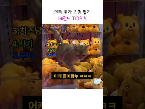 예측 블가 인형 뽑기 TOP5